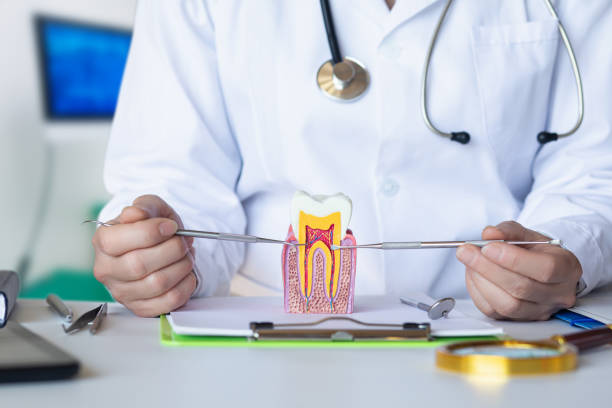 Best Broken Tooth Emergency  in Fayetteville, TN